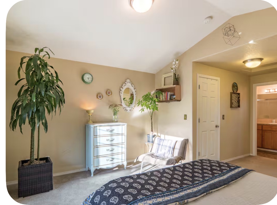 Bright bedroom with blue bedding and potted palm